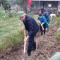 Thị Trấn Triệu Sơn hưởng ứng chiến dịch toàn dân ra quân làm thủy lợi mùa khô năm 2022